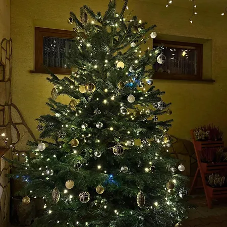 Privatunterkunft Kramarzowka - Gospodarstwo Turystyczne Centrum Bukowiny