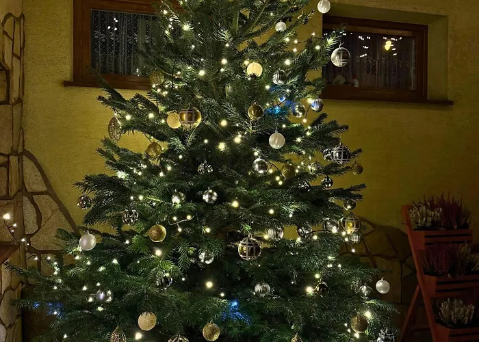 Homestay Kramarzowka - Gospodarstwo Turystyczne Centrum Bukowiny